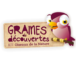 Logo graine de découverte