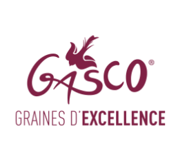 Logo gasco